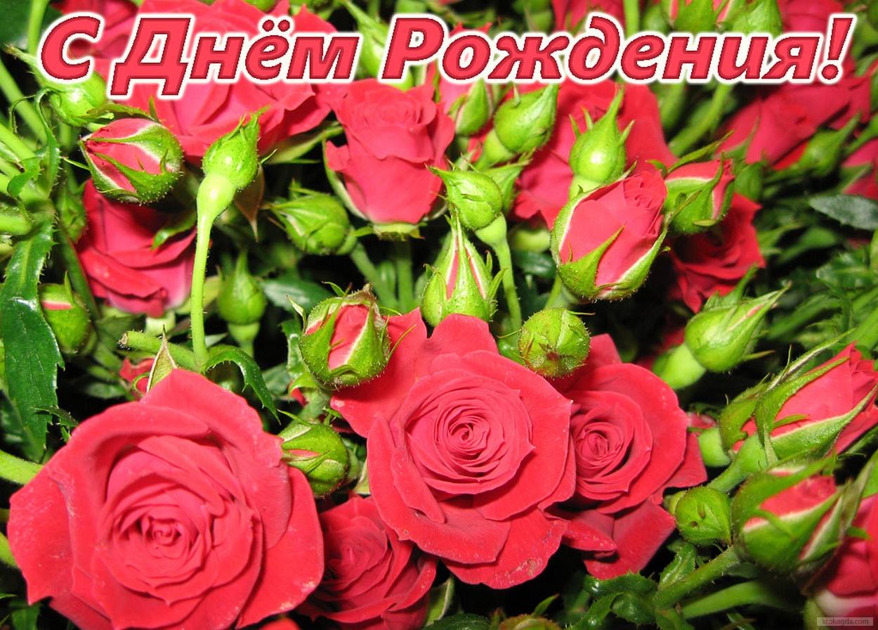 Поздравления с днём рождения женщине 74 лет Поздравления с днём рождения женщине 74 лет